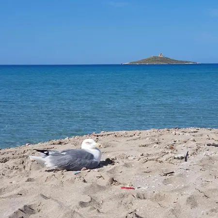 Ai Colori Di Giggia